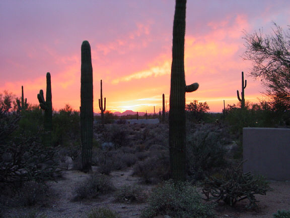 Paradise Valley Sunset with Saguaros